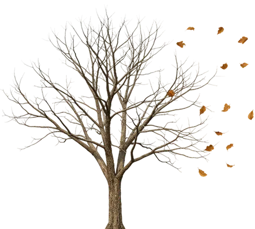 Imagen de árbol